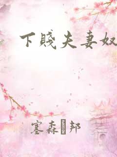 下贱夫妻奴