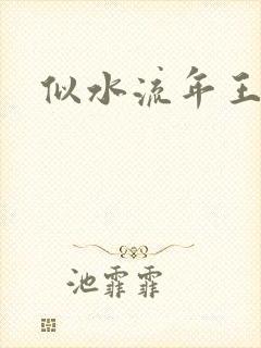 似水流年王小波