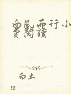 向风而行小说免费阅读