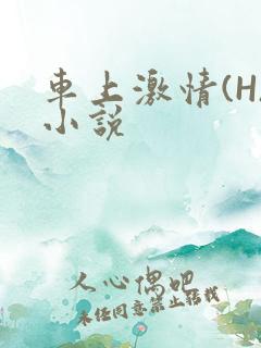 车上激情(H)小说