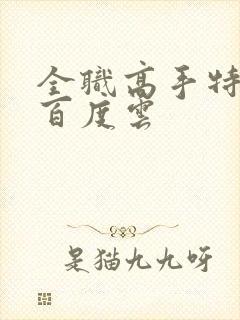 全职高手特别篇百度云