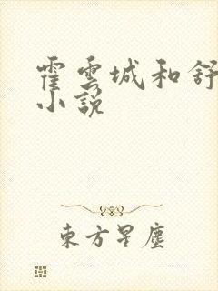 霍云城和舒情的小说