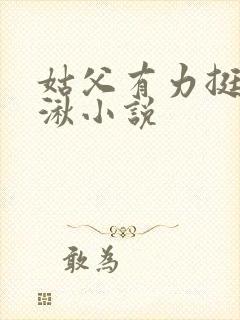 姑父有力挺送徐湫小说