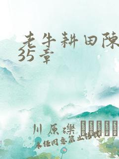 老牛耕田陈雪435章