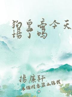 狗皇帝今天火葬场了吗