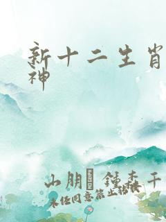 新十二生肖守护神