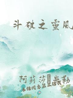 斗破之灵风