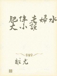 肥伴老妇水多乳大小说