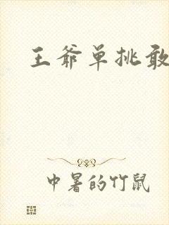 王爷单挑敢不敢