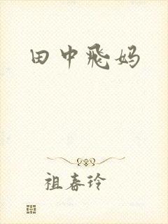 田中飞妈