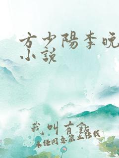 方少阳李晚晴的小说