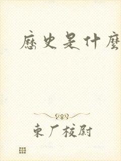 历史是什么玩意