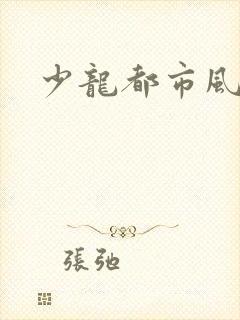 少龙都市风流行