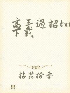 高手过招txt下载