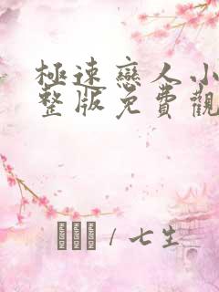 极速恋人小说完整版免费观看