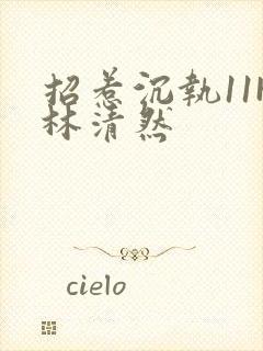 招惹沉执11H林清然