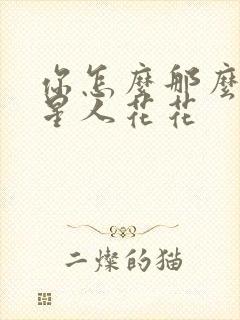 你怎么那么美汪星人花花