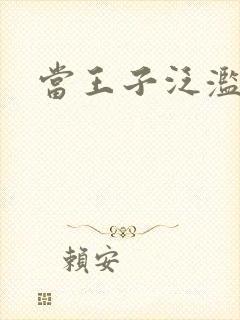 当王子泛滥之时