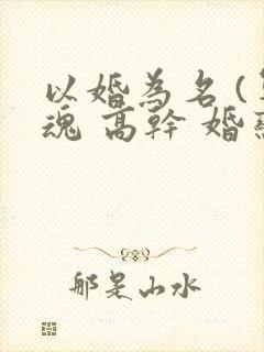 以婚为名 (军魂 高干 婚恋)