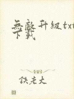 无敌升级txt下载