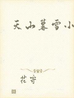 天山暮雪小说