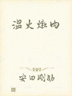 温火炖肉