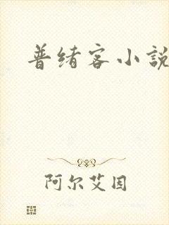 普绪客小说
