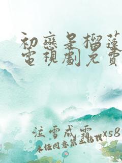 初恋是榴莲先生电视剧免费观看