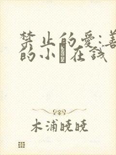 禁止的爱:善良的小峓在钱