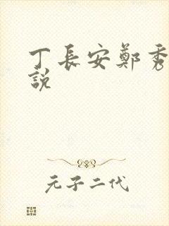 丁长安郑秀兰小说