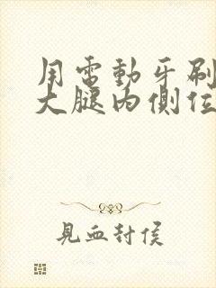 用电动牙刷放在大腿内侧位置作文