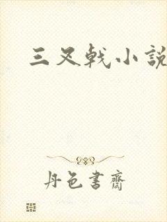 三叉戟小说