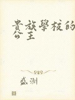 贵族学校的双面公主