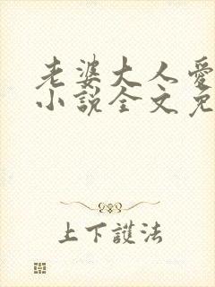 老婆大人爱上我小说全文免费阅读