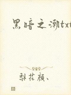 黑暗之潮txt