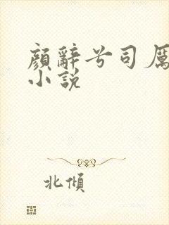 颜辞兮司厉辰的小说