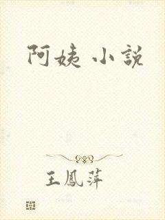 阿姨 小说