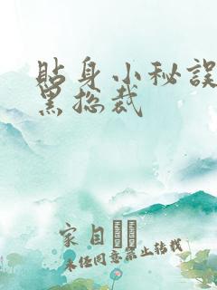 贴身小秘误睡腹黑总裁