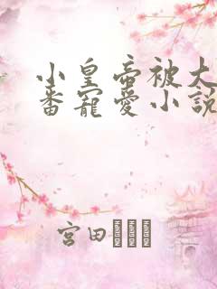 小皇帝被大臣轮番宠爱小说