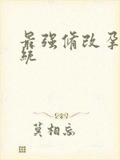 最强修改孕妇系统