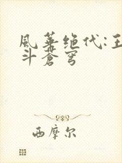 风华绝代:王妃斗苍穹