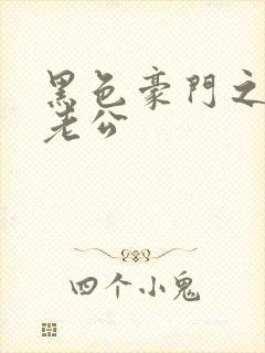 黑色豪门之王子老公