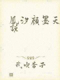 凤汐颜墨天问小说