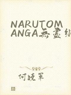 NARUTOMANGA无尽纲手