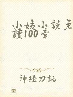 小姨小说免费阅读100章