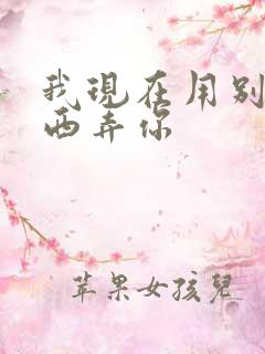 我现在用别的东西弄你