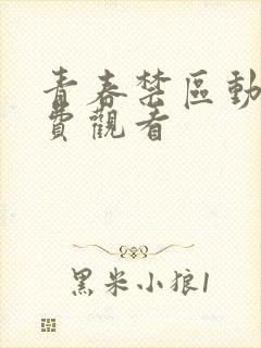 青春禁区动漫免费观看