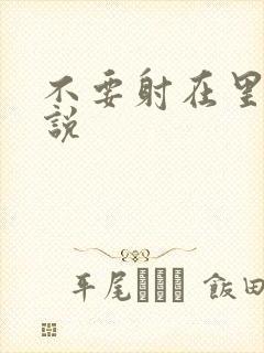 不要射在里面小说