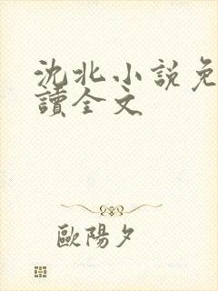 沈北小说免费阅读全文