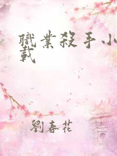 职业杀手小说下载